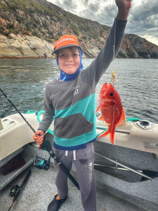 Lure in yellowfin at Port Neill Eyre Peninsula Advocate