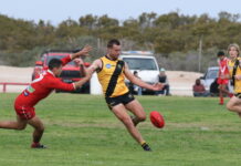 Tigers challenged – but win again