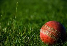 Leading pair record T20 victories