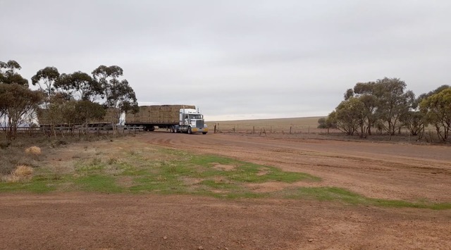 RuralAid_480142_01