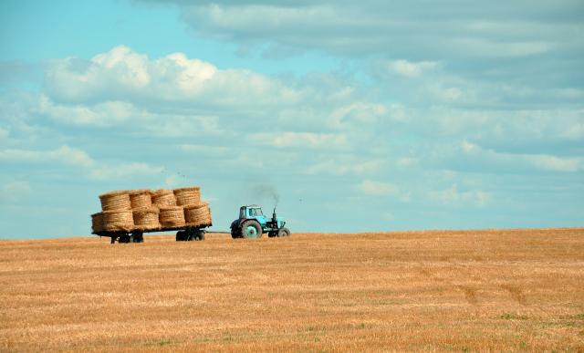 farmgen_363089_01