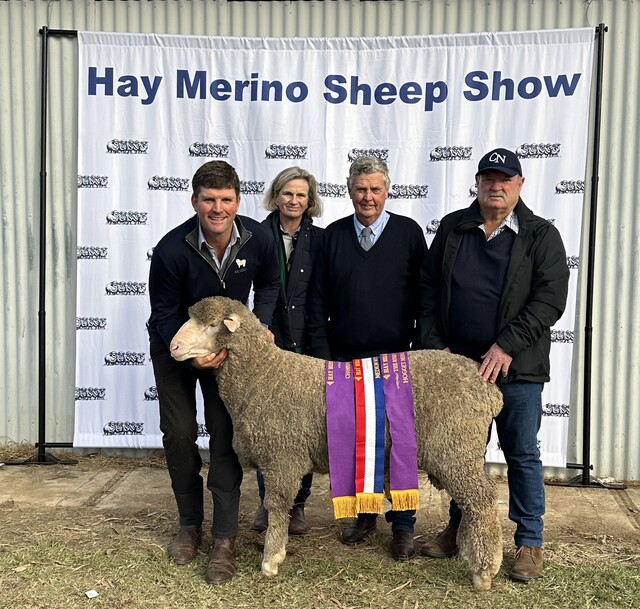 HaySheep_485725_02