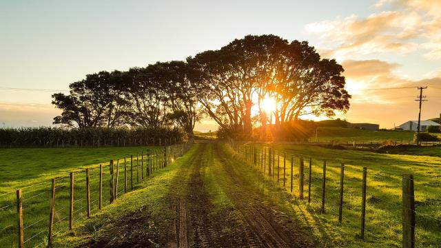Workshops to boost farm financial skills