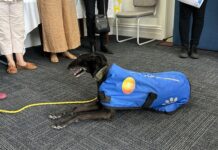 Hope’s lasting message