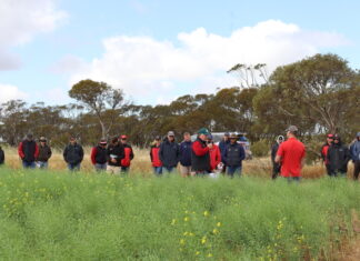 Another successful season at Lock trial site