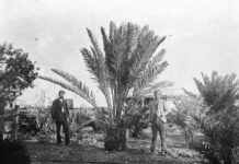 Delve into state’s past with fellowship