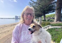 When do you think is the right time to put up the Christmas tree?