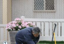 Wudinna wonders continue winning start