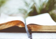 Good News for You: Love – romance and more