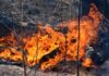 Prepare for bushfire season