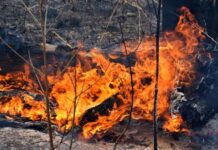 Prepare for bushfire season