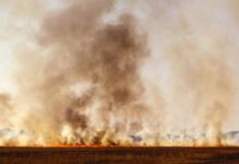 Prescribed burn set for Monday