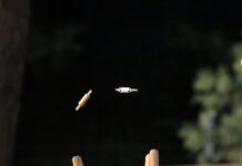 Cockaleechie triumphs in T20 contest