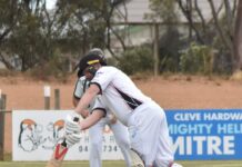 Cats unable to recover from poor start