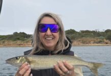 Garfish a great option in all areas