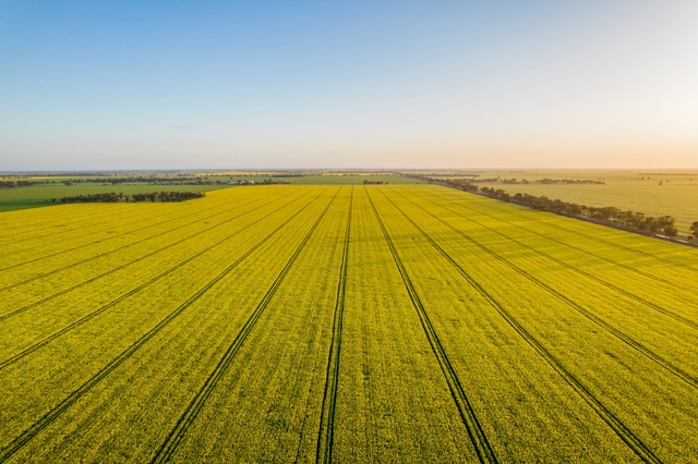 GRDCroadma_512849_01