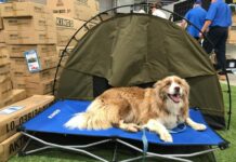 Mitre 10 has everything you need