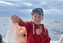 Monster salmon at Greenly Island