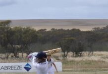 Barney top performance