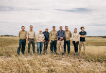 Talia landmark restoration