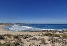 Greenly top Christmas Beach