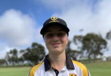 Representing state cricket