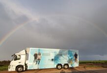 Kangaroo Paw services Eyre Peninsula