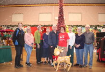 Wonderful wonderland