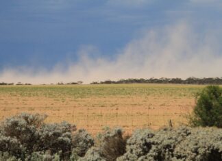 Ceduna hits record heat