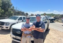 Looking back on 2025 – November