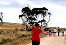 Yeldulknie parkrun offers fitness and fun alternative