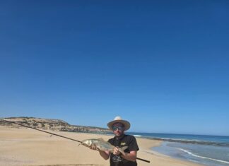 Monster Port Neill garfish