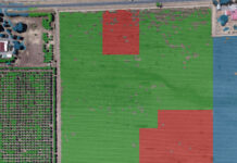 Digital twins could improve crop health