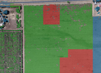 Digital twins could improve crop health