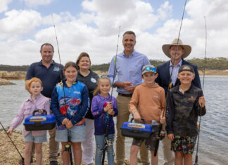 Tackle boxes to inspire fishing