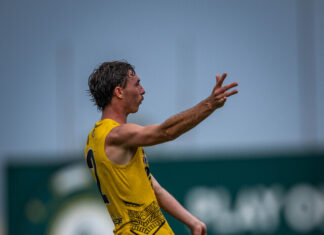 Polkinghorne picks up game-high stats for Tigers