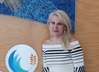 Lanzilli ends CEO chapter