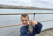 Lower Eyre tuna scarce