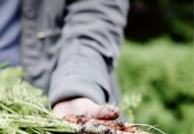 Never too old to learn new tricks