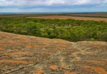 Study highlights rainfall decline