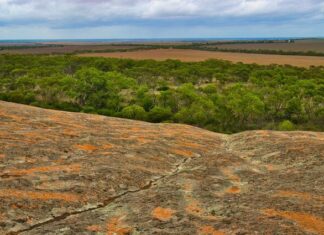 Study highlights rainfall decline